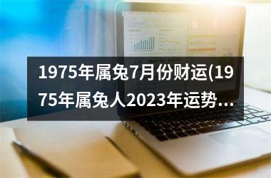 1975年属兔7月份财运(1975年属兔人2025年运势及运程)