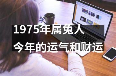 1975年属兔人今年的运气和财运