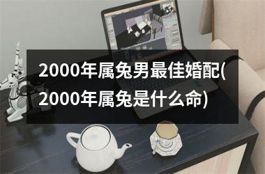 2000年属兔男佳婚配(2000年属兔是什么命)