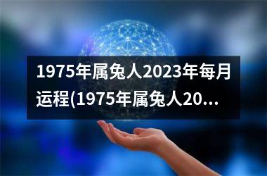 1975年属兔人2025年每月运程(1975年属兔人2025年运势及运程)