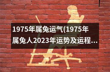 1975年属兔运气(1975年属兔人2025年运势及运程)