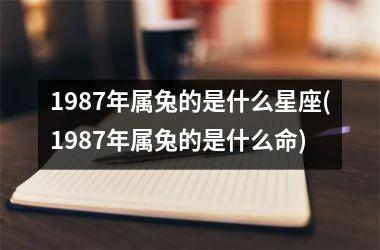 1987年属兔的是什么星座(1987年属兔的是什么命)