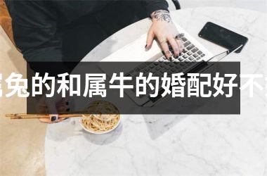 属兔的和属牛的婚配好不好