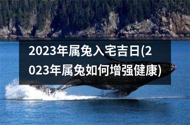 2025年属兔入宅吉日(2025年属兔如何增强健康)