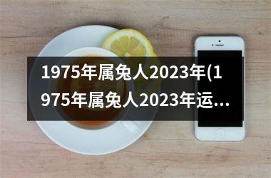 1975年属兔人2025年(1975年属兔人2025年运势及运程)