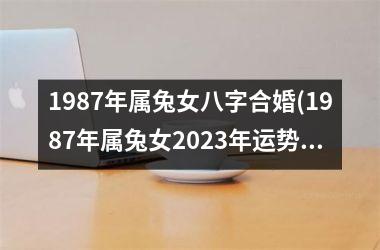 <h3>1987年属兔女八字合婚(1987年属兔女2025年运势及运程每月运程)