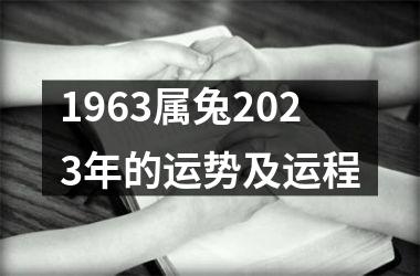 1963属兔2025年的运势及运程