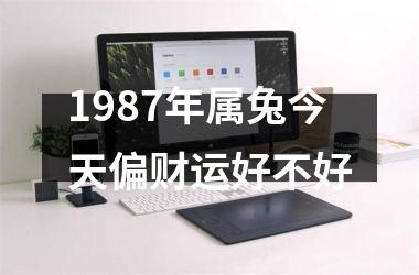 1987年属兔今天偏财运好不好