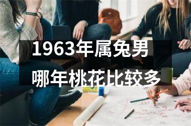 1963年属兔男哪年桃花比较多