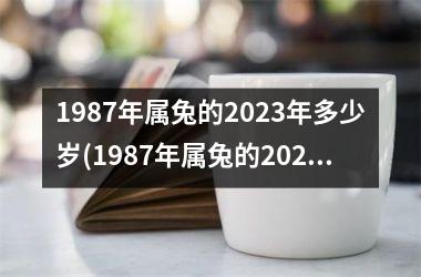 1987年属兔的2025年多少岁(1987年属兔的2025年运势)