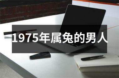 1975年属兔的男人