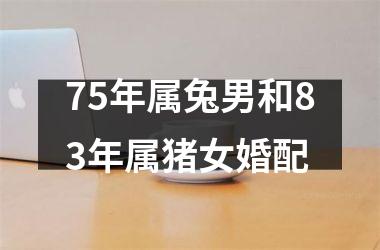 75年属兔男和83年属猪女婚配