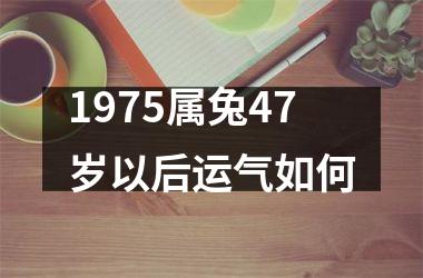 1975属兔47岁以后运气如何