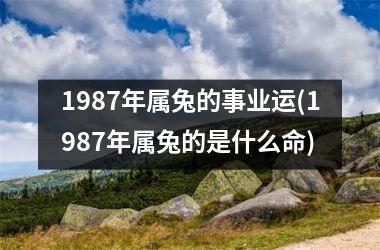 1987年属兔的事业运(1987年属兔的是什么命)