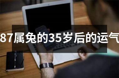 87属兔的35岁后的运气