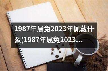 1987年属兔2025年佩戴什么(1987年属兔2025年运势及运程)