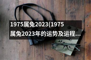 1975属兔2025(1975属兔2025年的运势及运程)