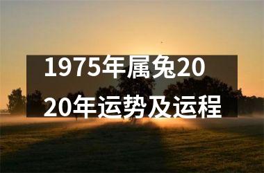 1975年属兔2025年运势及运程