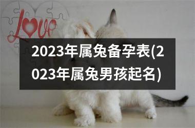 2023年属兔备孕表(2023年属兔男孩起名)