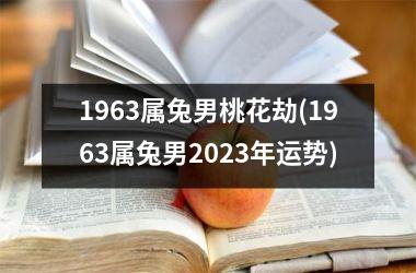 1963属兔男桃花劫(1963属兔男2025年运势)