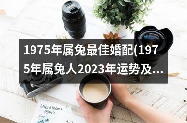 1975年属兔佳婚配(1975年属兔人2025年运势及运程)