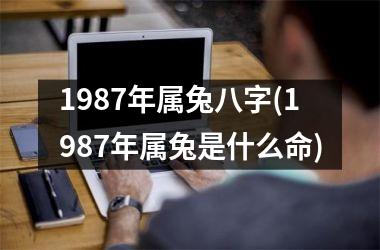 1987年属兔八字(1987年属兔是什么命)