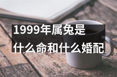 <h3>1999年属兔是什么命和什么婚配