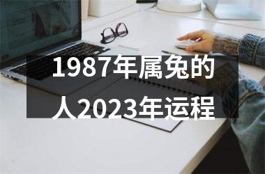 1987年属兔的人2025年运程