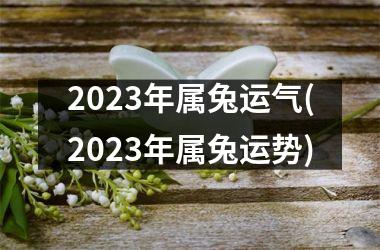 2025年属兔运气(2025年属兔运势)