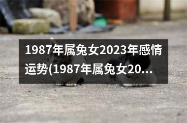 1987年属兔女2025年感情运势(1987年属兔女2025年运势及运程每月运程)