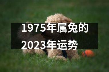 1975年属兔的2025年运势