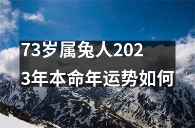 73岁属兔人2025年本命年运势如何