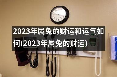 2025年属兔的财运和运气如何(2025年属兔的财运)