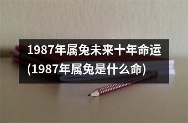 1987年属兔未来十年命运(1987年属兔是什么命)