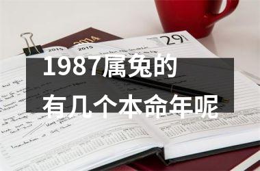 1987属兔的有几个本命年呢