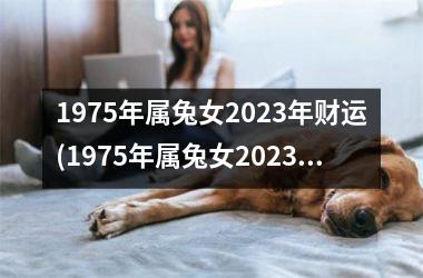 1975年属兔女2025年财运(1975年属兔女2025年运势及运程凶与吉)