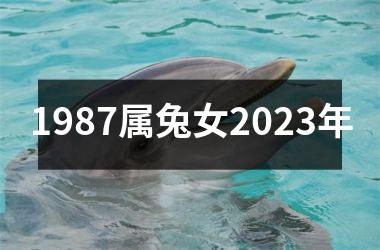 1987属兔女2025年