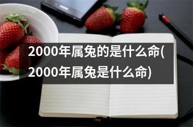 2000年属兔的是什么命(2000年属兔是什么命)