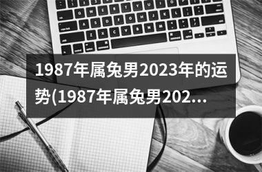 1987年属兔男2025年的运势(1987年属兔男2025年的运势和婚姻)