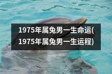 1975年属兔男一生命运(1975年属兔男一生运程)