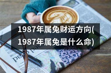 1987年属兔财运方向(1987年属兔是什么命)