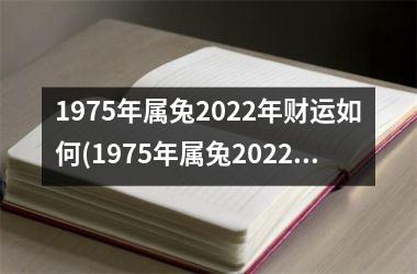 1975年属兔2025年财运如何(1975年属兔2025年运势)