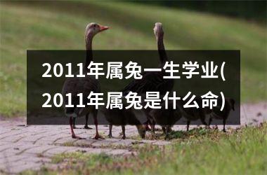 <h3>2011年属兔一生学业(2011年属兔是什么命)