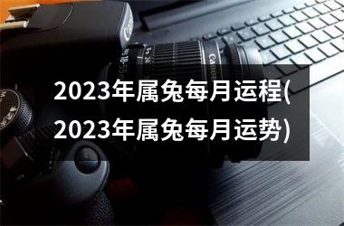 2025年属兔每月运程(2025年属兔每月运势)