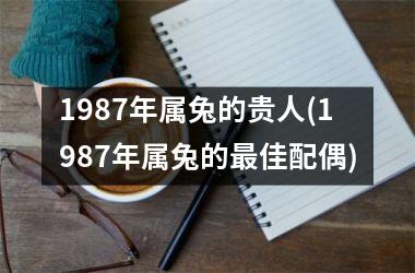 1987年属兔的贵人(1987年属兔的最佳配偶)