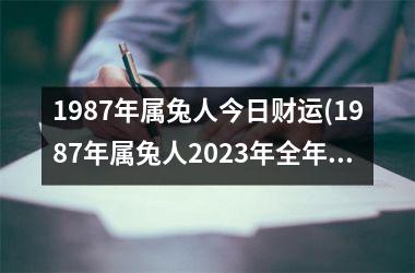 1987年属兔人今日财运(1987年属兔人2025年全年运势)