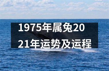 1975年属兔2025年运势及运程