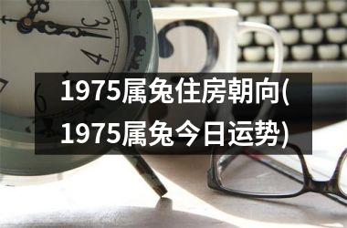 1975属兔住房朝向(1975属兔今日运势)