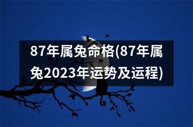 87年属兔命格(87年属兔2025年运势及运程)