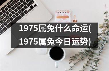 1975属兔什么命运(1975属兔今日运势)